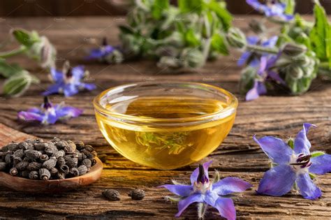  Borage Oil: Un Segreto Nascosto per Cosmetici di Alta Qualità e Alimenti Funzionali!