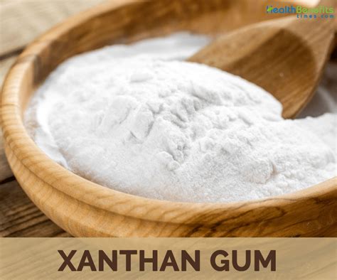 Xantham Gum: Una Gomma Naturale per l'Industria Alimentare e Farmaceutica!